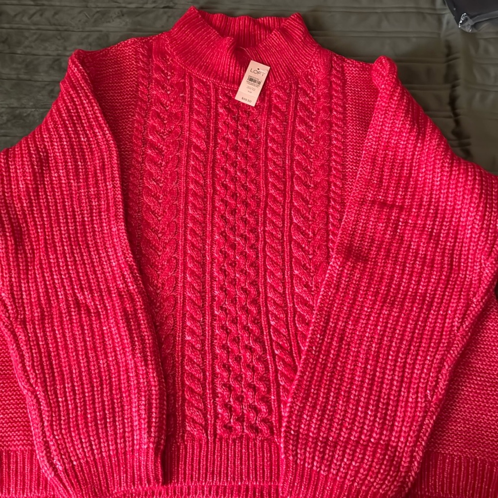 NWT Loft Sweater